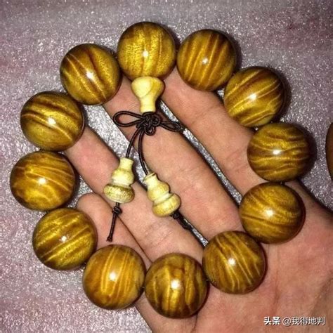 金絲楠陰沉木功效|金丝楠木的功效与作用及禁忌